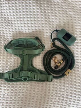 The Foggy Dog | Evergreen & Gold Leash | Free Harness & Poop Bag Dispenser